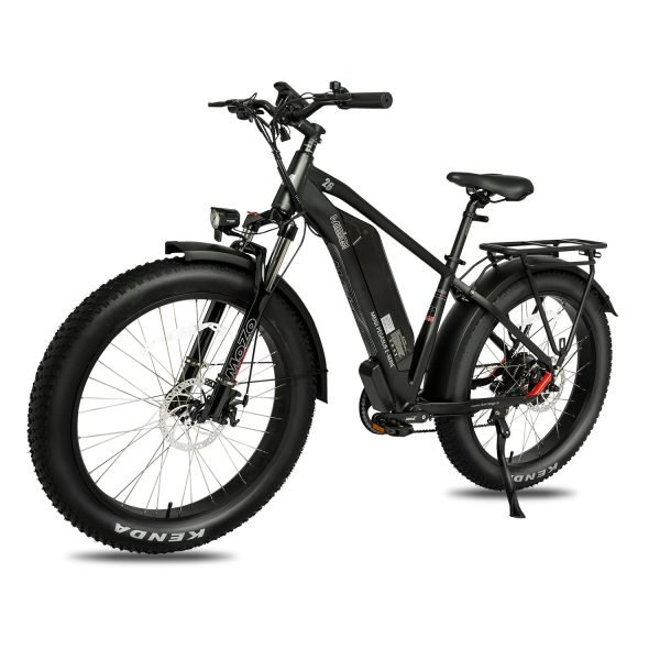 DWMEIGI Pegasus 48V/16Ah 750W Fat Tire Electric Bike