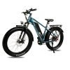 DWMEIGI Pegasus 48V/16Ah 750W Fat Tire Electric Bike