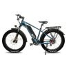 DWMEIGI Pegasus 48V/16Ah 750W Fat Tire Electric Bike