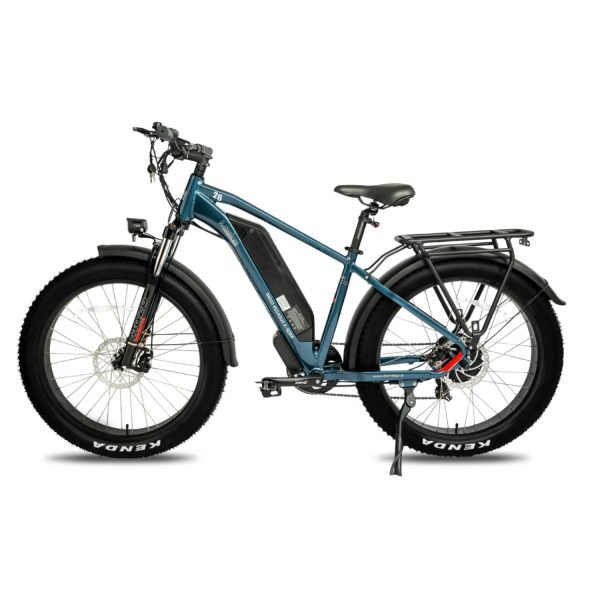 DWMEIGI Pegasus 48V/16Ah 750W Fat Tire Electric Bike