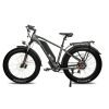 DWMEIGI Pegasus 48V/16Ah 750W Fat Tire Electric Bike
