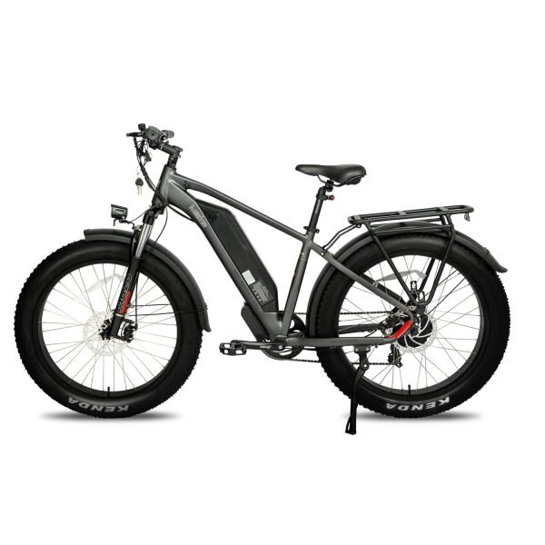DWMEIGI Pegasus 48V/16Ah 750W Fat Tire Electric Bike