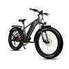 DWMEIGI Pegasus 48V/16Ah 750W Fat Tire Electric Bike