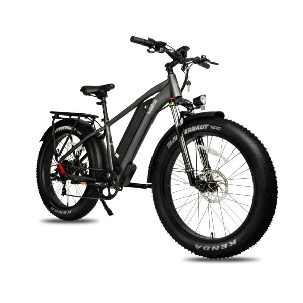 DWMEIGI Pegasus 48V/16Ah 750W Fat Tire Electric Bike