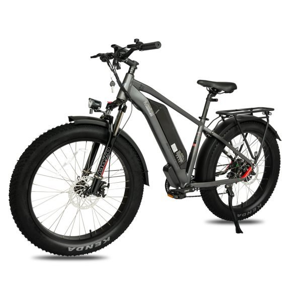DWMEIGI Pegasus 48V/16Ah 750W Fat Tire Electric Bike