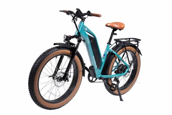 MG8714-ARTEMIS_1-scaled-1 DWMEIGI Artemis 48V/16Ah 750W Fat Tire Electric Bike