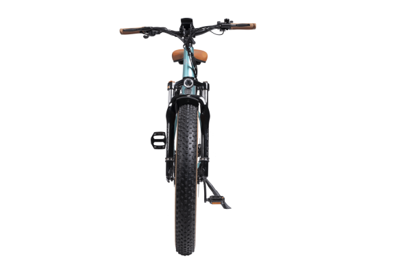 MG8714-ARTEMIS_1-scaled-1 DWMEIGI Artemis 48V/16Ah 750W Fat Tire Electric Bike