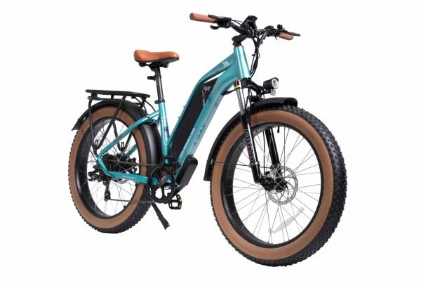 MG8714-ARTEMIS_2-scaled-1 DWMEIGI Artemis 48V/16Ah 750W Fat Tire Electric Bike