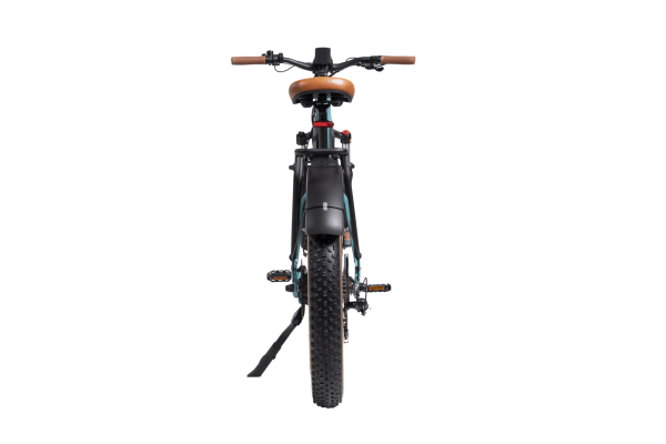 MG8714-ARTEMIS_2-scaled-1 DWMEIGI Artemis 48V/16Ah 750W Fat Tire Electric Bike