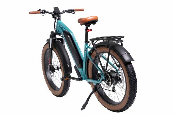 MG8714-ARTEMIS_3-scaled-1 DWMEIGI Artemis 48V/16Ah 750W Fat Tire Electric Bike