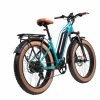 MG8714-ARTEMIS_5-scaled-1 DWMEIGI Artemis 48V/16Ah 750W Fat Tire Electric Bike