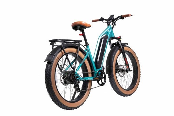 MG8714-ARTEMIS_5-scaled-1 DWMEIGI Artemis 48V/16Ah 750W Fat Tire Electric Bike