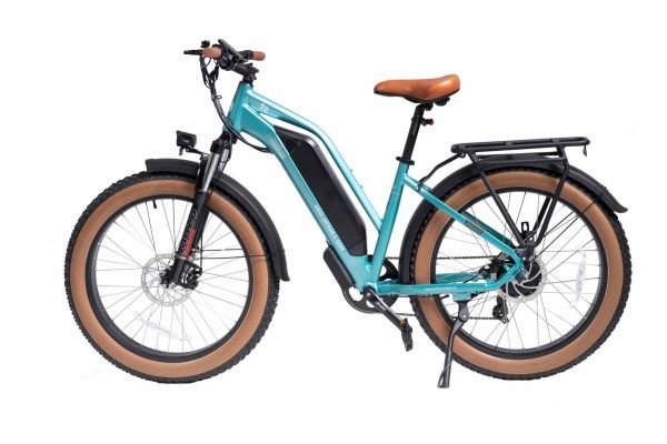 MG8714-ARTEMIS_6-scaled-1 DWMEIGI Artemis 48V/16Ah 750W Fat Tire Electric Bike