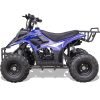 MT-ATV-Rex-110cc_Blue MotoTec Rex 110cc 4-Stroke Kids Gas ATV