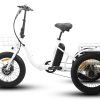EUNORAU NEW-TRIKE 48V/12.5Ah 500W Step-Thru Folding Electric Trike