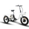 EUNORAU NEW-TRIKE 48V/12.5Ah 500W Step-Thru Folding Electric Trike