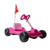 PinkZypster4_8a8772a6-40bc-450d-bfcd-9e73941b853e Droyd Zypster 24V Kids Mini Electric Go-Kart