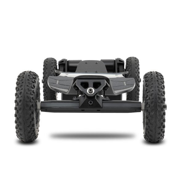 Raldey Wasp Electric Mountainboard