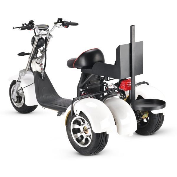 SoverSkyGolfScooter_1800x1800_3f01b6d7-8035-462f-919f-89618a4d72c4 SoverSky T7.3 60V 20Ah/40Ah 2000W Electric Golf Trike Scooter