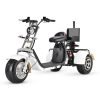 SoverskyGolfcart_1800x1800_95111491-b8c7-459f-a983-894f2b8d9223 SoverSky T7.3 60V 20Ah/40Ah 2000W Electric Golf Trike Scooter