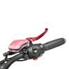 Citycoco 60V/40Ah 2000W Electric Trike Scooter