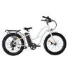 Coastal Cruiser Step Thru 24×3 52V/17Ah 750W Electric Bike