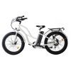 Coastal Cruiser Step Thru 24×3 52V/17Ah 750W Electric Bike