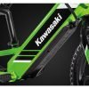 2025 Kawasaki Elektrode 16