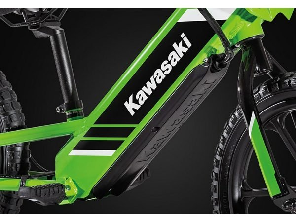 2025 Kawasaki Elektrode 16