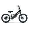 ae7b_l 2026 Kawasaki Elektrode 20FS - Gray