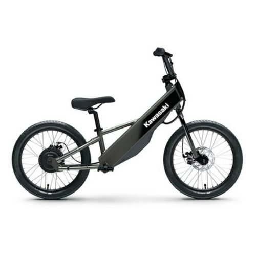 2025 Kawasaki Elektrode 20FS