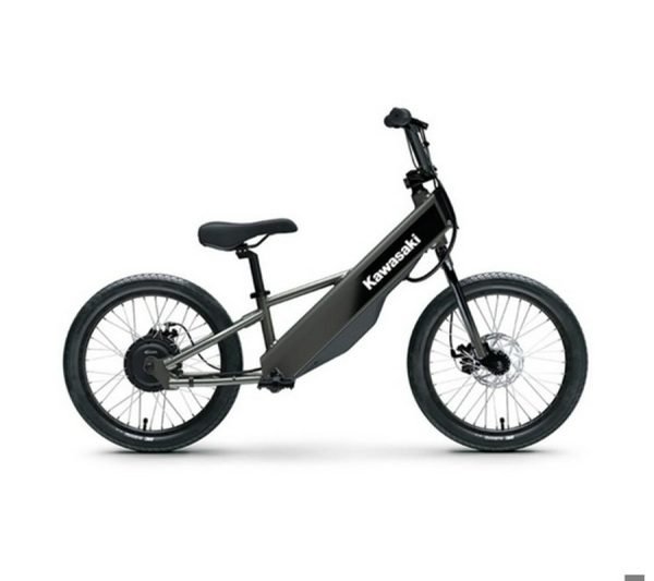 ae7b_l 2026 Kawasaki Elektrode 20FS - Gray