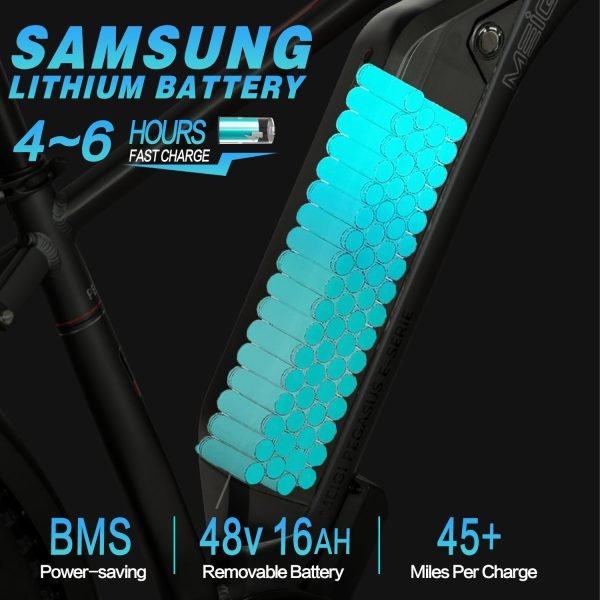 battery DWMEIGI Artemis 48V/16Ah 750W Fat Tire Electric Bike