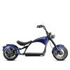 blueberry-2 Koppla Cobra M1P 60V/30Ah 2000W Electric Scooter