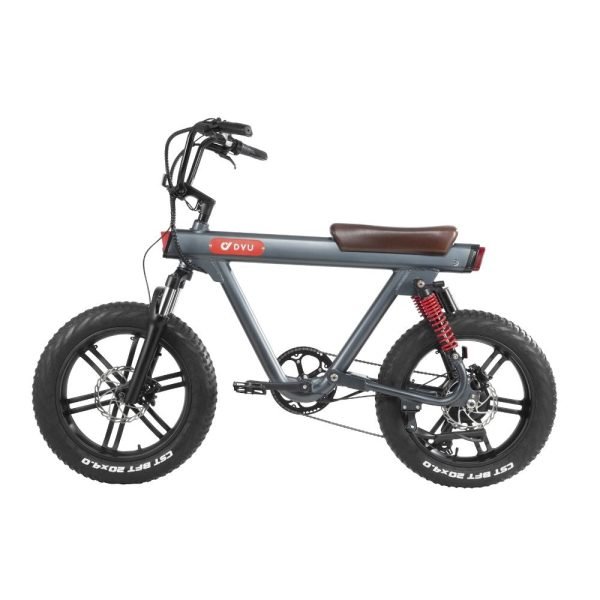 DYU V8 48V/15.5Ah 750W Electric Bike
