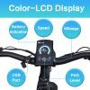 colordisplay DWMEIGI Artemis 48V/16Ah 750W Fat Tire Electric Bike