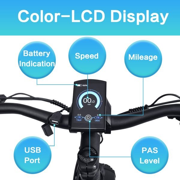 colordisplay DWMEIGI Artemis 48V/16Ah 750W Fat Tire Electric Bike