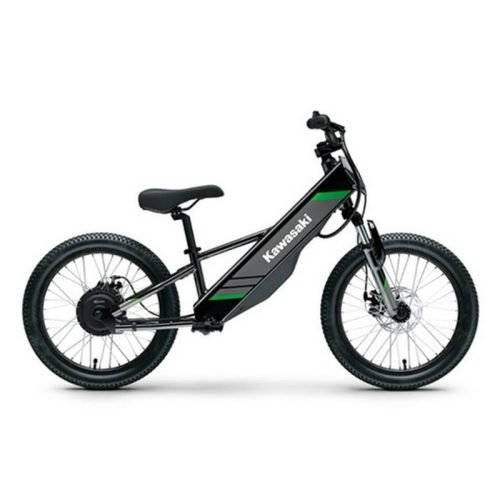 2026 Kawasaki Elektrode 20 - Black