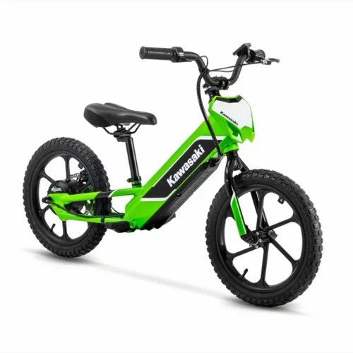 2023 Kawasaki Elektrode