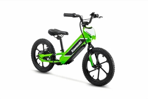 2023 Kawasaki Elektrode