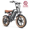 electricbikeG60ULCertification_2 HappyRun G60 48V/13Ah 750W Electric Bike