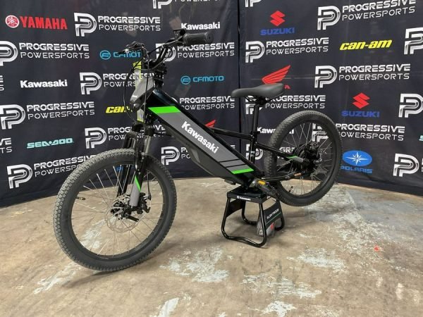 2025 Kawasaki Elektrode 20