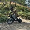 freego-x0-electric-mini-bike-wooded-trail-motion Freego X0 60V/23Ah 3600W Electric Mini Dirt Bike