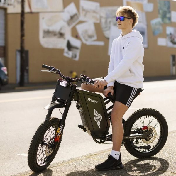 Freego X1 / X1 SE 60V/25Ah 3000W Electric Dirt Bike