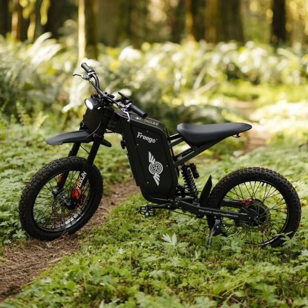 Freego X1 / X1 SE 60V/25Ah 3000W Electric Dirt Bike