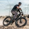Hiboy P6 48V/11.6Ah 750W Fat Tire Electric Bike
