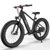 Hiboy P6 48V/11.6Ah 750W Fat Tire Electric Bike