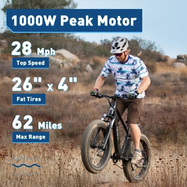 Hiboy P6 48V/11.6Ah 750W Fat Tire Electric Bike