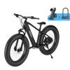 Hiboy P6 48V/11.6Ah 750W Fat Tire Electric Bike