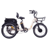 DWMEIGI Blazer MG2303 48V/16Ah 750W Electric Trike